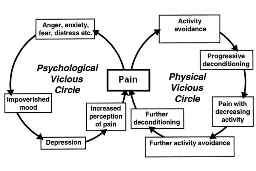 Chronic Pain Cycles Chart
